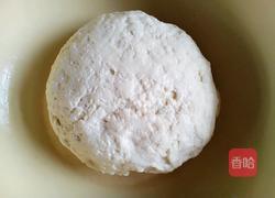 猪肉豆角馅饺子的做法图解1