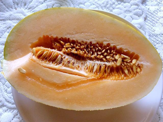 准备好哈蜜瓜