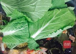 麻辣粉丝的做法图解6