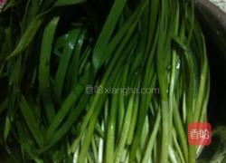韭菜鸡蛋饺子的做法图解2