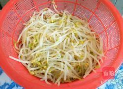 凉拌绿豆芽的做法图解2