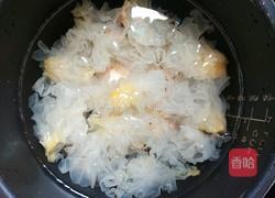 西瓜银耳羹的做法图解5