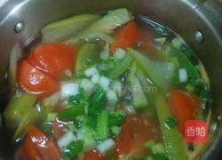 蕃茄丝瓜汤的做法图解6