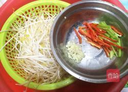 素炒绿豆芽的做法图解2