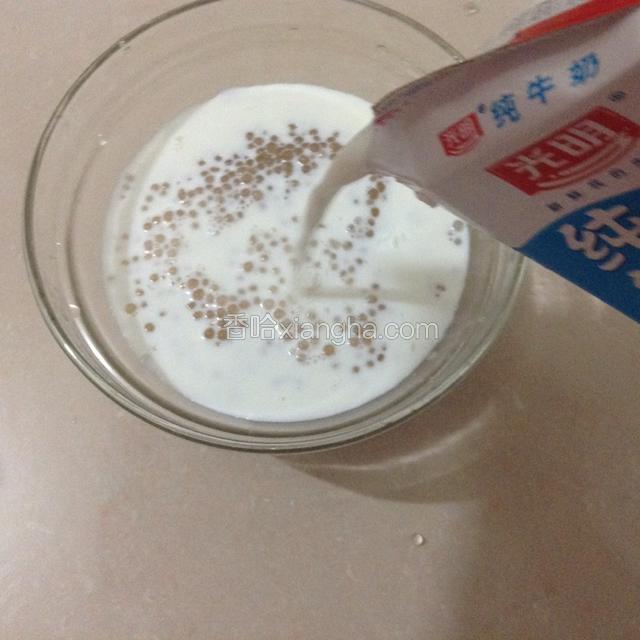 将冷却好的西米捞出控水装入碗中，加适量牛奶。