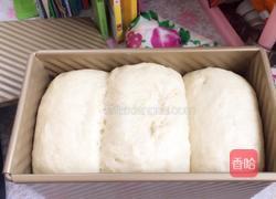 淡奶油全麦土司的做法图解7