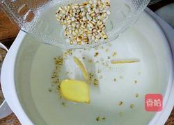 白萝卜薏仁排骨汤的做法图解6