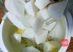 白萝卜薏仁排骨汤的做法图解7