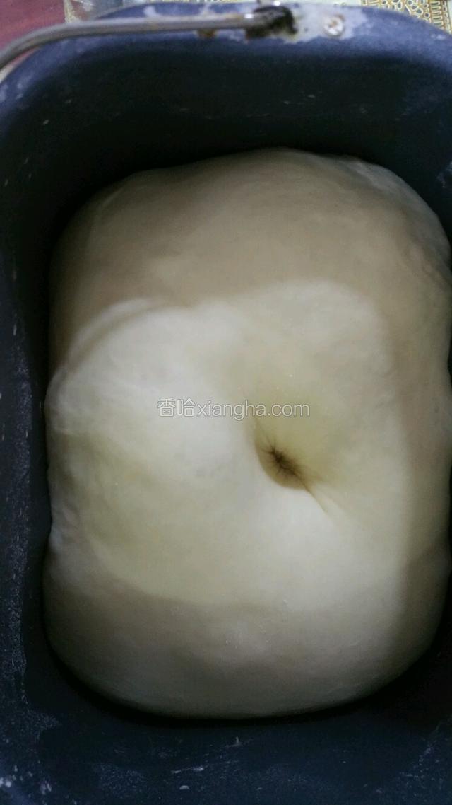 揉面20分钟后从新开启发面程序，二个程序即可轻松揉出膜，面团发二倍大时取出