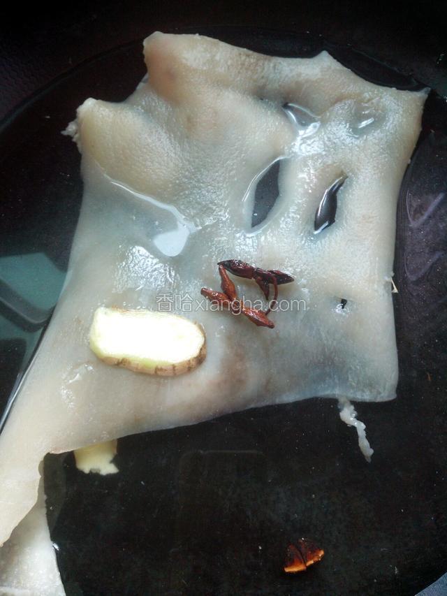 猪皮洗净，锅里放冷水，放姜片和猪皮，水开后再煮一两分钟，猪皮微微变色变硬就捞起。（主要起定形作用，好拔毛和剔肥肉）