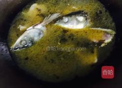 老坛酸菜片片鱼的做法图解11