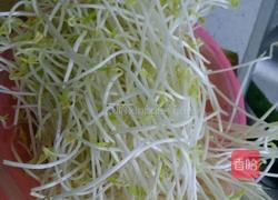 剁辣椒炒绿豆芽的做法图解1