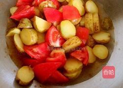 番茄小土豆的做法图解5