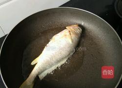 香煎黄瓜鱼的做法图解3