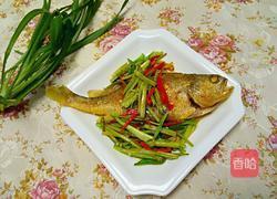 香煎黄瓜鱼的做法图解5