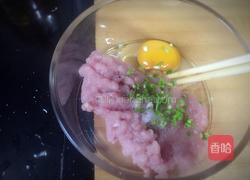 西兰花番茄酿肉的做法图解2