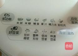 清凉西瓜汁的做法图解4