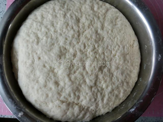 酵母温水融化加入面粉内活成面团发酵至2倍大