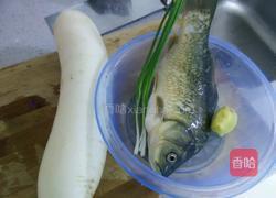 鲫鱼萝卜丝汤的做法图解1
