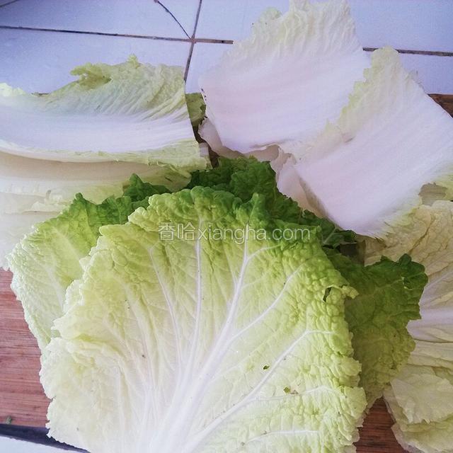 白菜把叶子和茎分开