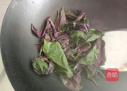 紫苏美容养生茶的做法图解2
