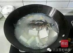枸杞鲫鱼豆腐汤的做法图解4