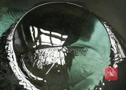 土豆焖鸡腿的做法图解7