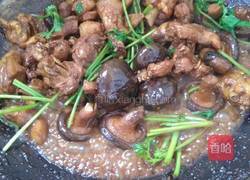 香菇焖鸡的做法图解7