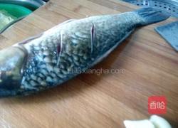 鲫鱼烧萝卜的做法图解1