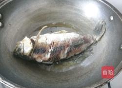 鲫鱼烧萝卜的做法图解3