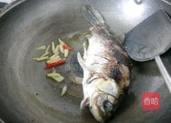 鲫鱼烧萝卜的做法图解4