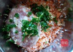 猪肉白萝卜蒸饺的做法图解9