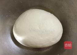 羊肉大葱肉饼的做法图解1