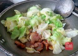 咸肉干锅卷心菜的做法图解8