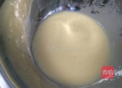 ,鲜橙汁蓝莓马芬蛋糕。的做法图解6
