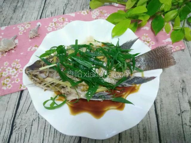 清蒸福寿鱼
