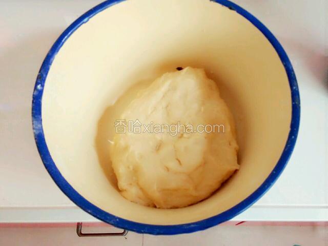 除了黄油和豆沙外所有的材料合成面团