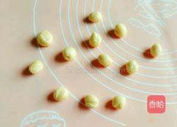 淡奶油小熊挤挤包的做法图解10