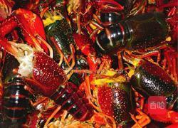 麻辣小龙虾～家常版^ ^的做法图解2