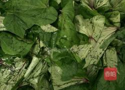 红薯叶窝窝头的做法图解1