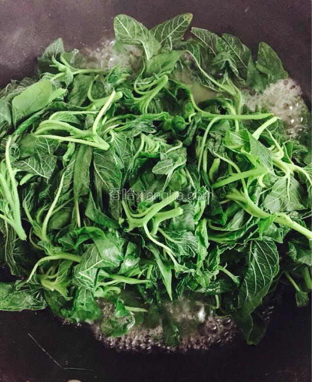 把野笕菜择菜选好，直接放开水里焯水！焯水后捞出用冷水冲洗干净，挤出多余水分待用