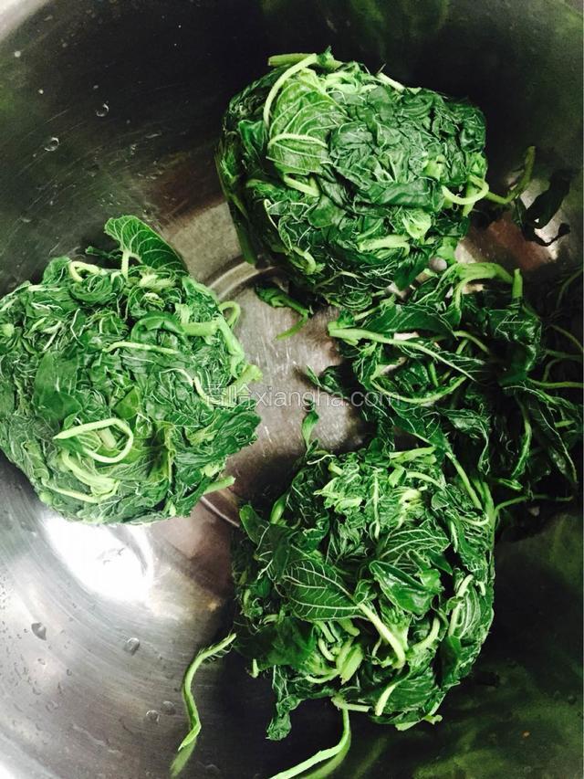把焯过水的淘洗干净的 野笕菜使劲挤干净多余的水份，利于包面皮