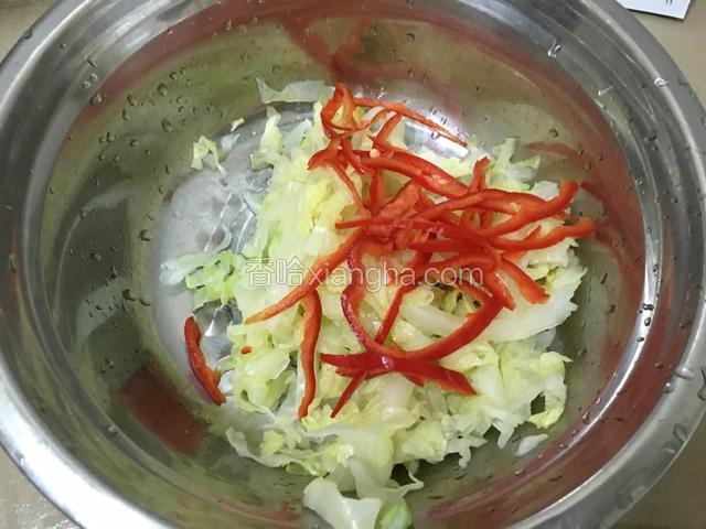 加上适量的盐，香油拌均。把辣椒切成丝放在卷心菜上面。