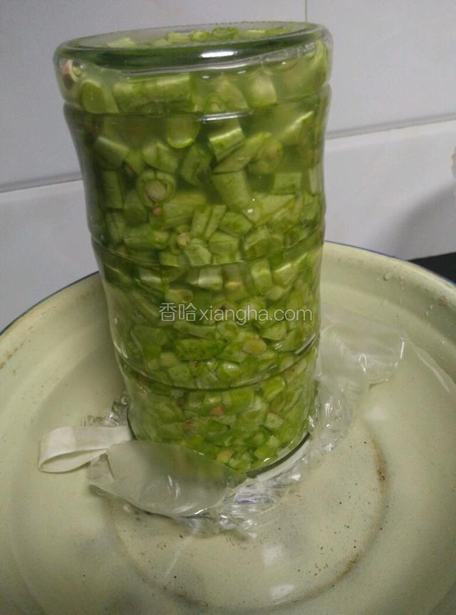 用玻璃罐子装好，用汤匙压紧实，罐口用保鲜袋对折后盖紧，倒扣在装了水的盆里。