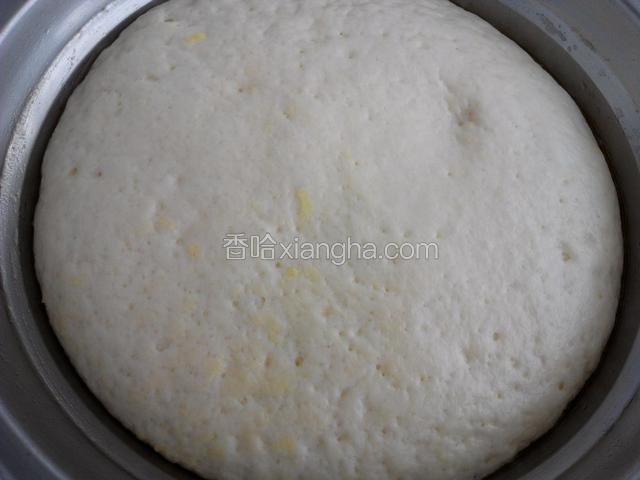 干酵母温水溶解和面，揉成光滑面团醒发半小时，醒发好的面团。