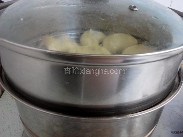 蒸屉中加入适量清水，放入包好的包子，小火蒸五分钟，再大火蒸十五分钟，关火两分钟后再打开锅盖。