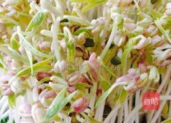 绿豆芽拌三丝的做法图解1