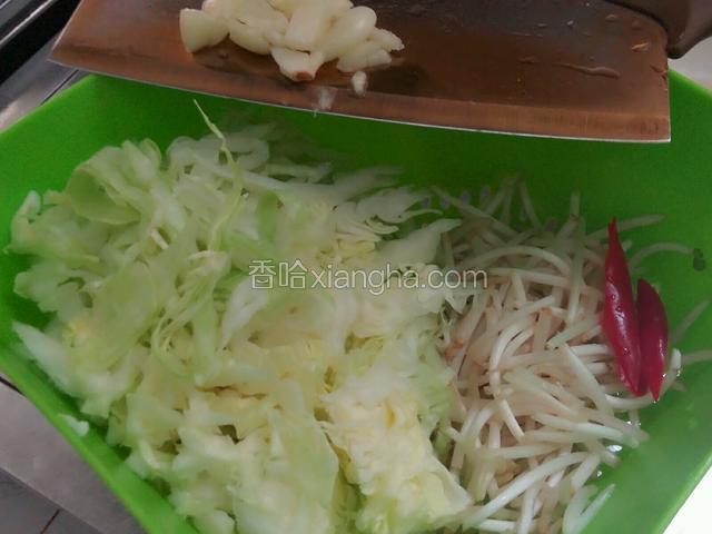 准备好食物洗干净 （卷心菜切细条，豆芽去掉头和尾部，辣椒切小块，蒜拍碎）