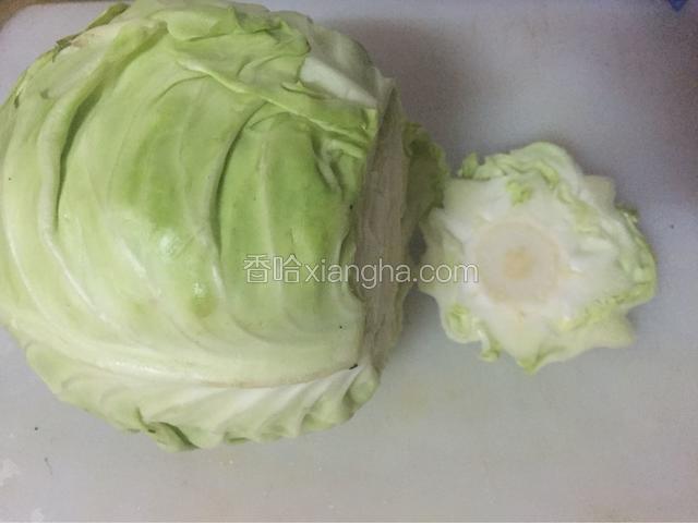 把卷心菜根部切一刀