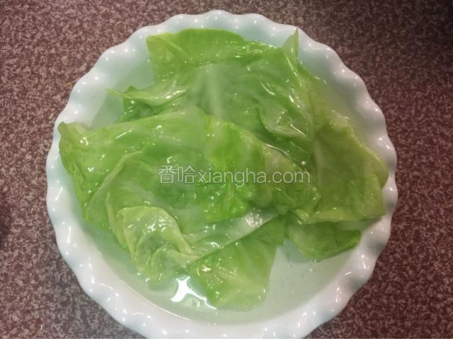 把卷心菜捞出后浸泡在凉水中备用